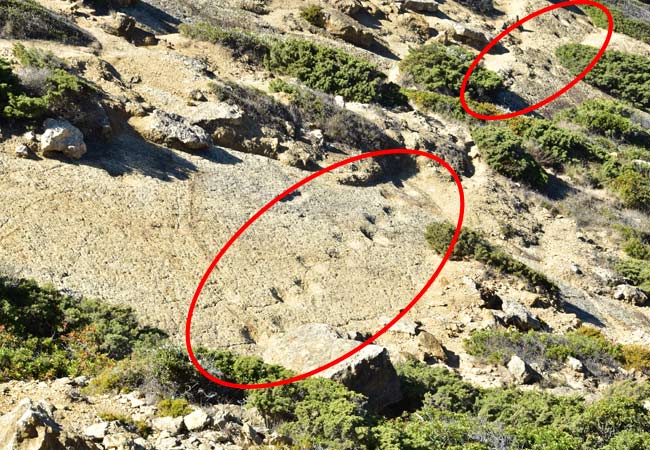 Empreintes de dinosaures Cabo Espichel