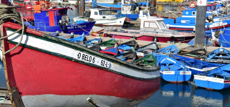 Doca dos Pescadores fishing harbour of Setubal