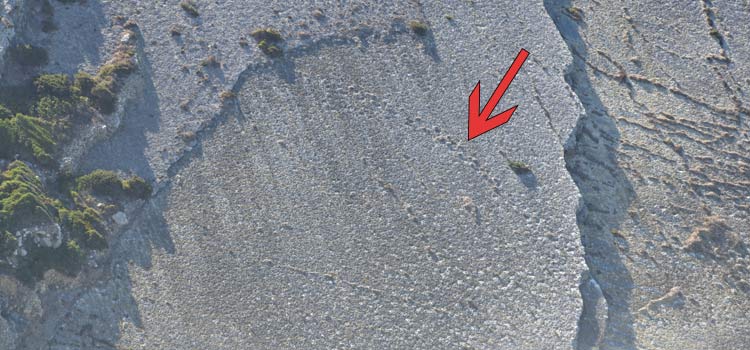 Perda da Mua dinosaur footprints